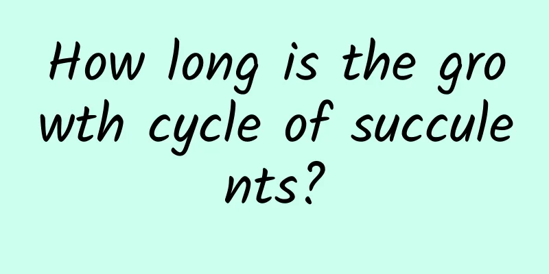How long is the growth cycle of succulents?