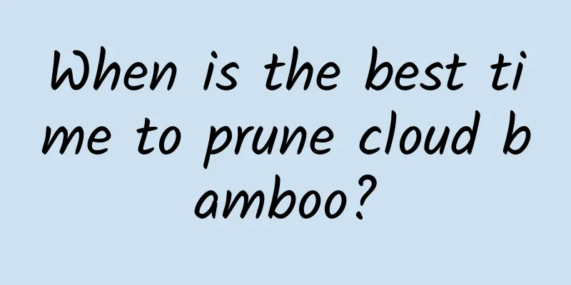 When is the best time to prune cloud bamboo?