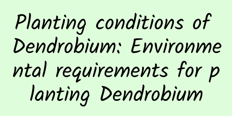 Planting conditions of Dendrobium: Environmental requirements for planting Dendrobium