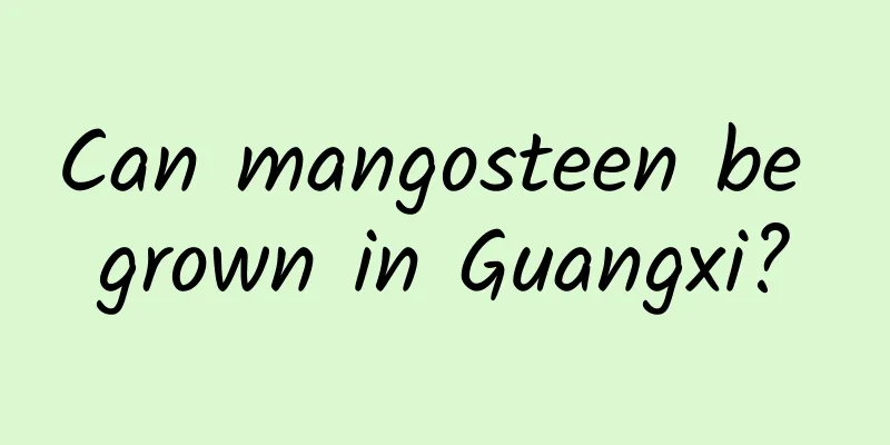 Can mangosteen be grown in Guangxi?