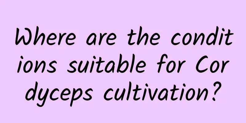 Where are the conditions suitable for Cordyceps cultivation?