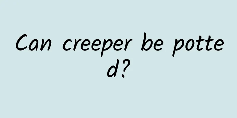 Can creeper be potted?