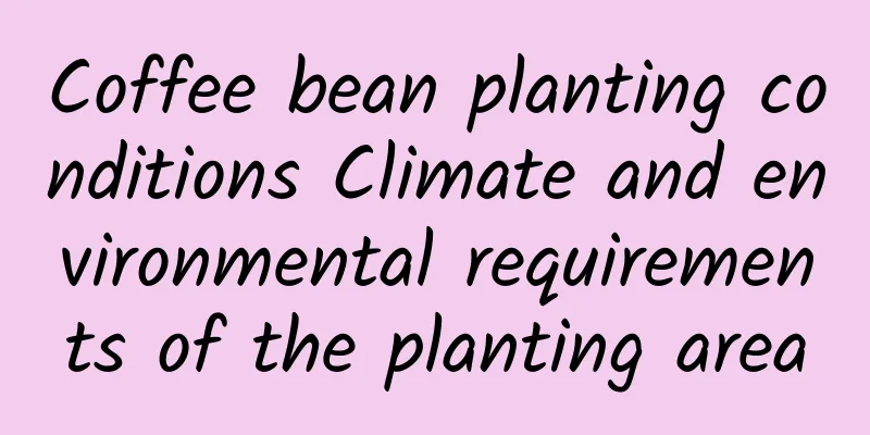 Coffee bean planting conditions Climate and environmental requirements of the planting area