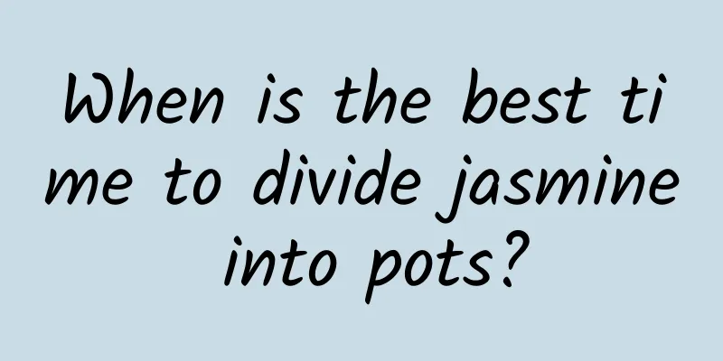 When is the best time to divide jasmine into pots?