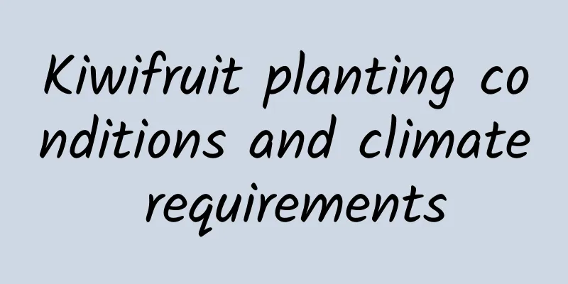 Kiwifruit planting conditions and climate requirements