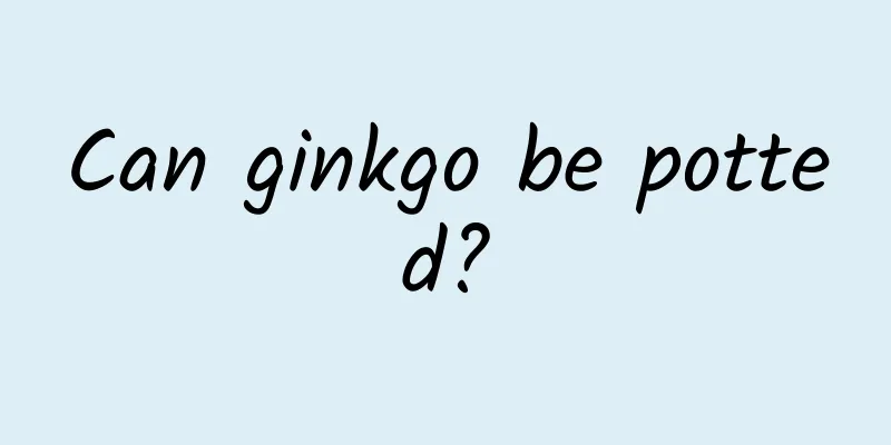 Can ginkgo be potted?