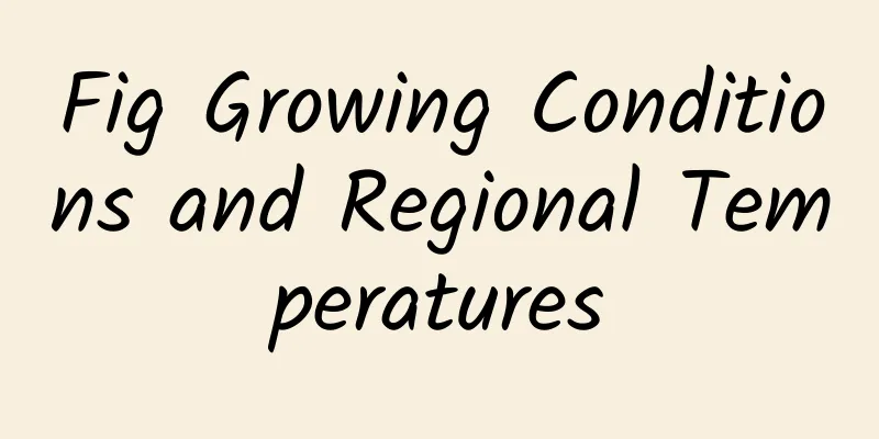 Fig Growing Conditions and Regional Temperatures