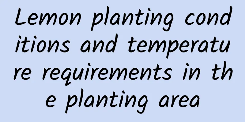 Lemon planting conditions and temperature requirements in the planting area