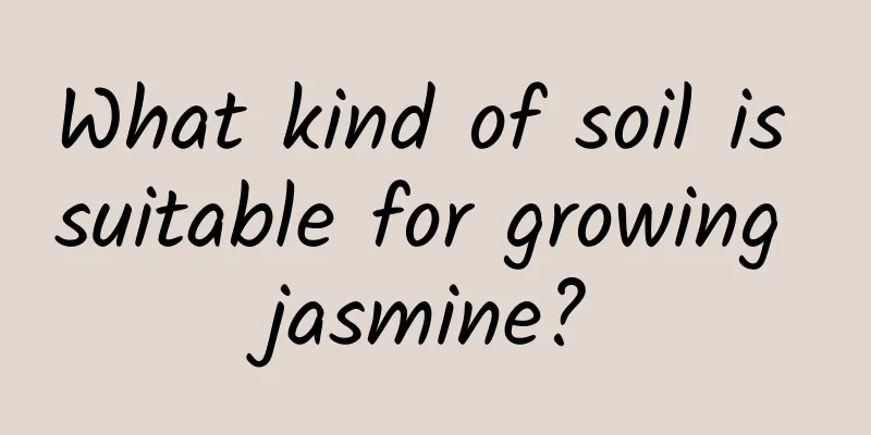 What kind of soil is suitable for growing jasmine?