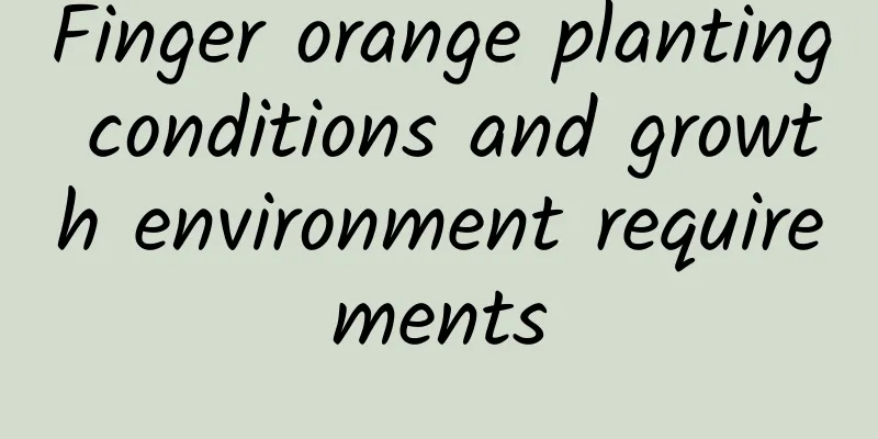Finger orange planting conditions and growth environment requirements