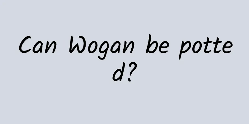 Can Wogan be potted?