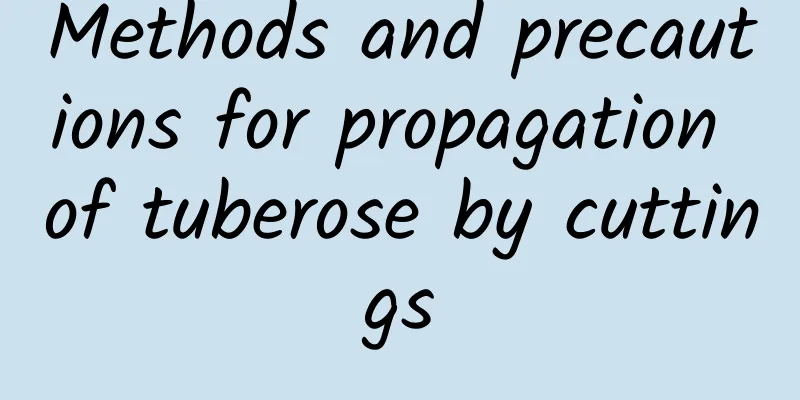 Methods and precautions for propagation of tuberose by cuttings