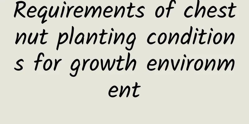 Requirements of chestnut planting conditions for growth environment