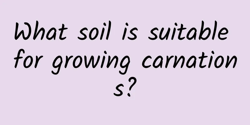 What soil is suitable for growing carnations?