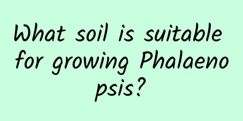 What soil is suitable for growing Phalaenopsis?