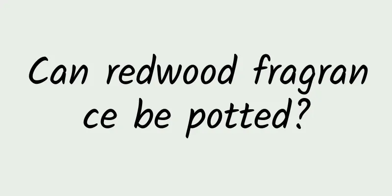Can redwood fragrance be potted?