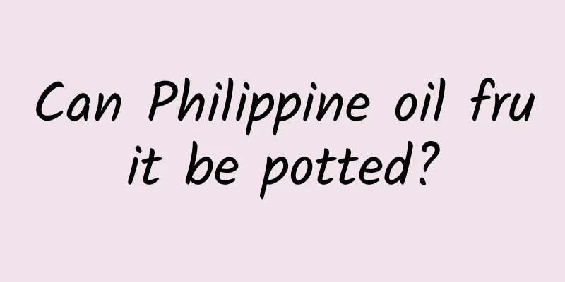 Can Philippine oil fruit be potted?