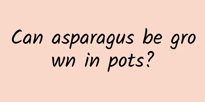 Can asparagus be grown in pots?