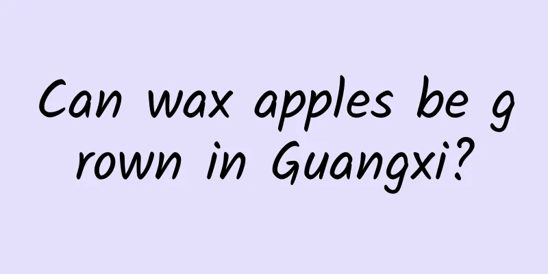 Can wax apples be grown in Guangxi?