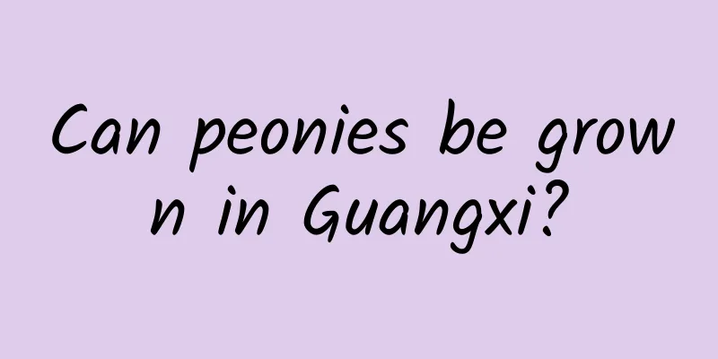 Can peonies be grown in Guangxi?
