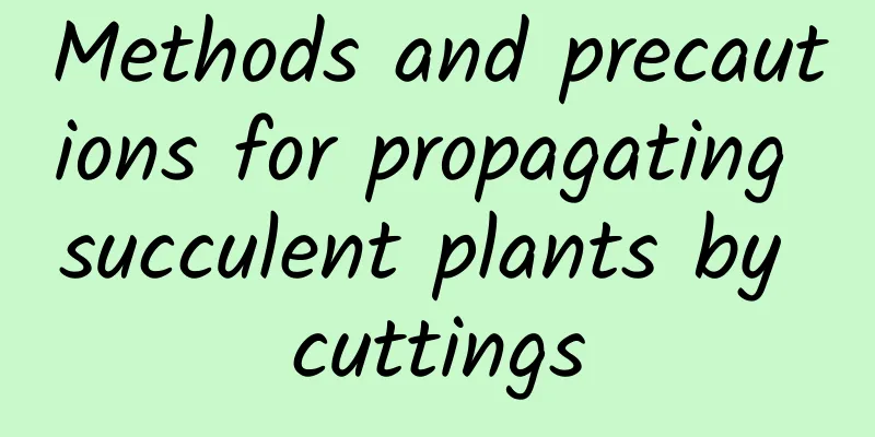 Methods and precautions for propagating succulent plants by cuttings