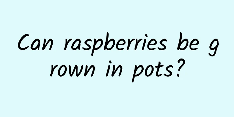 Can raspberries be grown in pots?