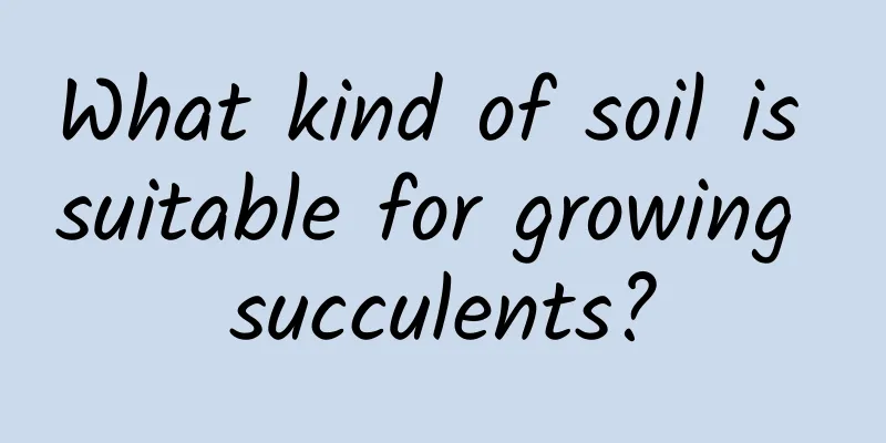 What kind of soil is suitable for growing succulents?