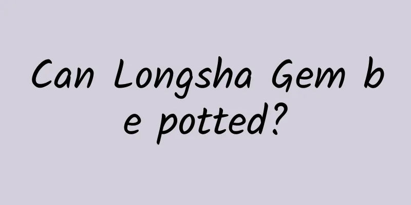 Can Longsha Gem be potted?