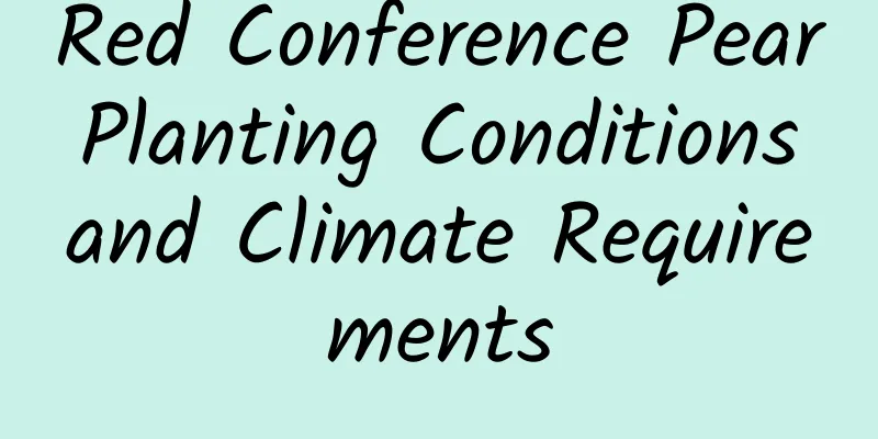 Red Conference Pear Planting Conditions and Climate Requirements