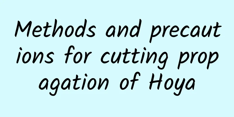 Methods and precautions for cutting propagation of Hoya
