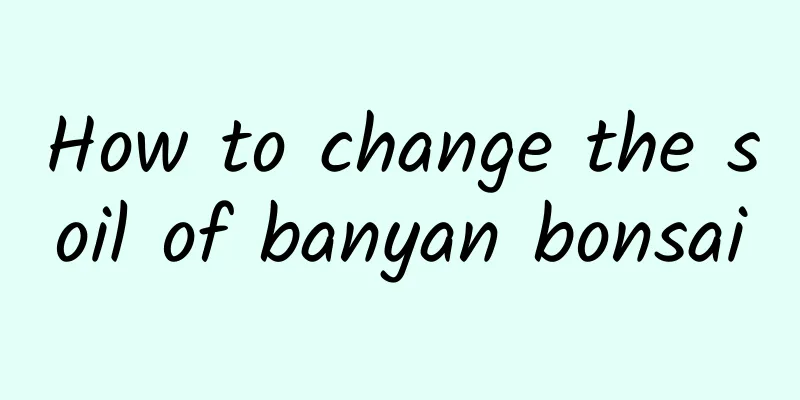 How to change the soil of banyan bonsai