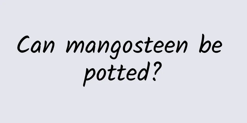 Can mangosteen be potted?