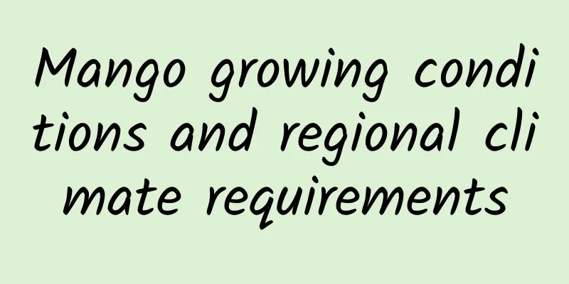 Mango growing conditions and regional climate requirements