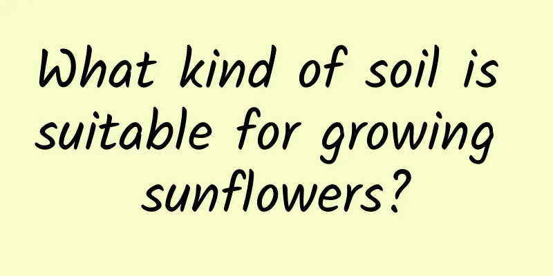 What kind of soil is suitable for growing sunflowers?