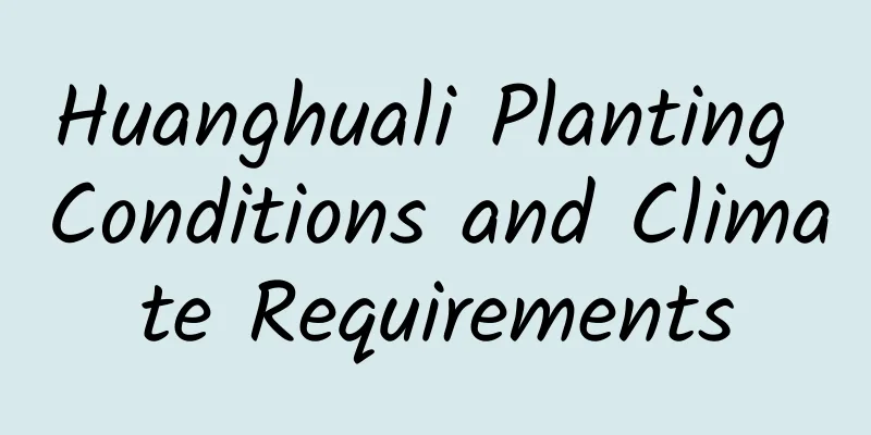 Huanghuali Planting Conditions and Climate Requirements