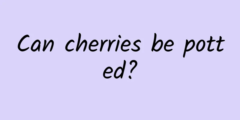 Can cherries be potted?
