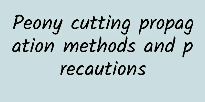 Peony cutting propagation methods and precautions