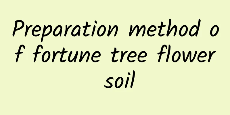Preparation method of fortune tree flower soil