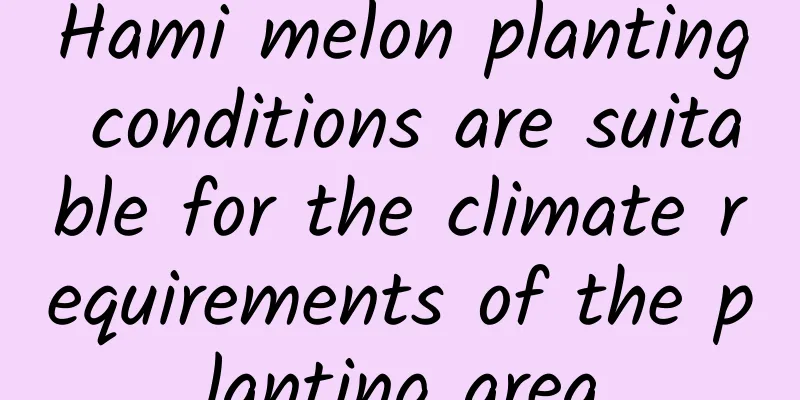 Hami melon planting conditions are suitable for the climate requirements of the planting area
