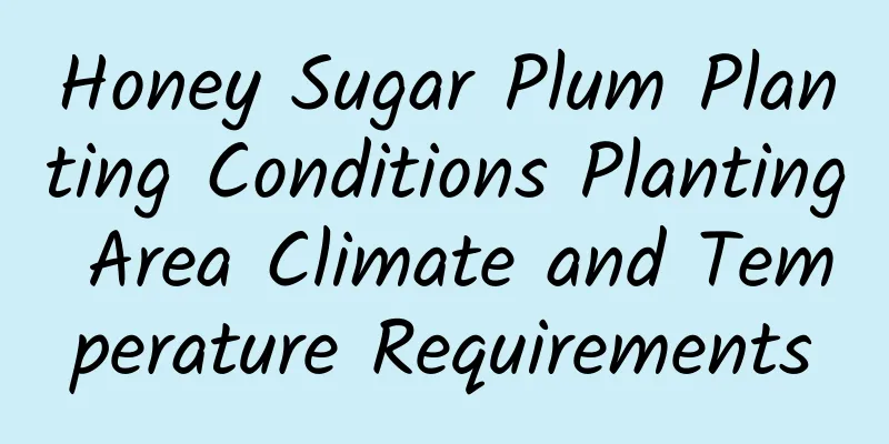 Honey Sugar Plum Planting Conditions Planting Area Climate and Temperature Requirements