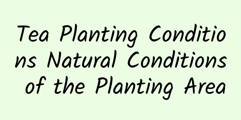 Tea Planting Conditions Natural Conditions of the Planting Area