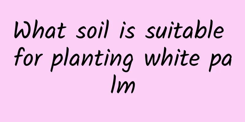What soil is suitable for planting white palm