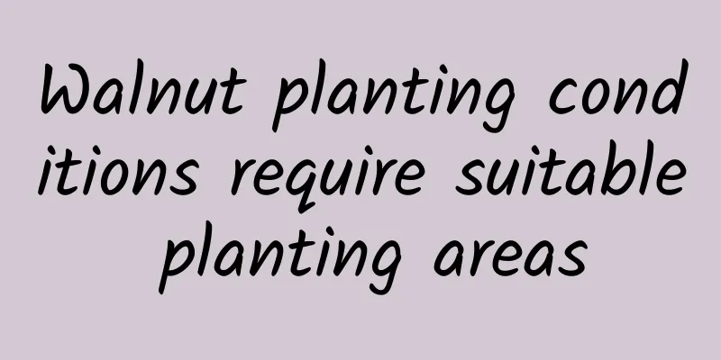 Walnut planting conditions require suitable planting areas