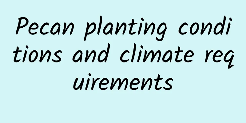Pecan planting conditions and climate requirements