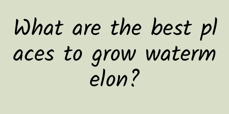 What are the best places to grow watermelon?
