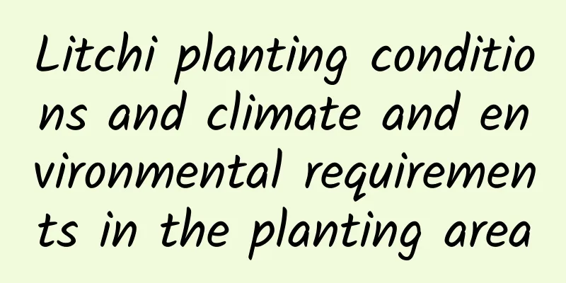 Litchi planting conditions and climate and environmental requirements in the planting area