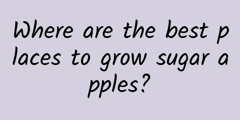 Where are the best places to grow sugar apples?