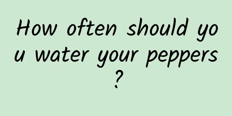 How often should you water your peppers?