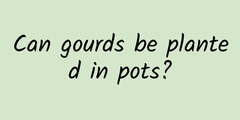 Can gourds be planted in pots?