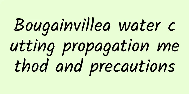Bougainvillea water cutting propagation method and precautions